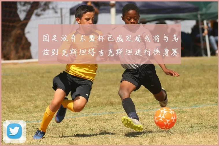 国足放弃东盟杯已成定局或将与乌兹别克斯坦塔吉克斯坦进行热身赛
